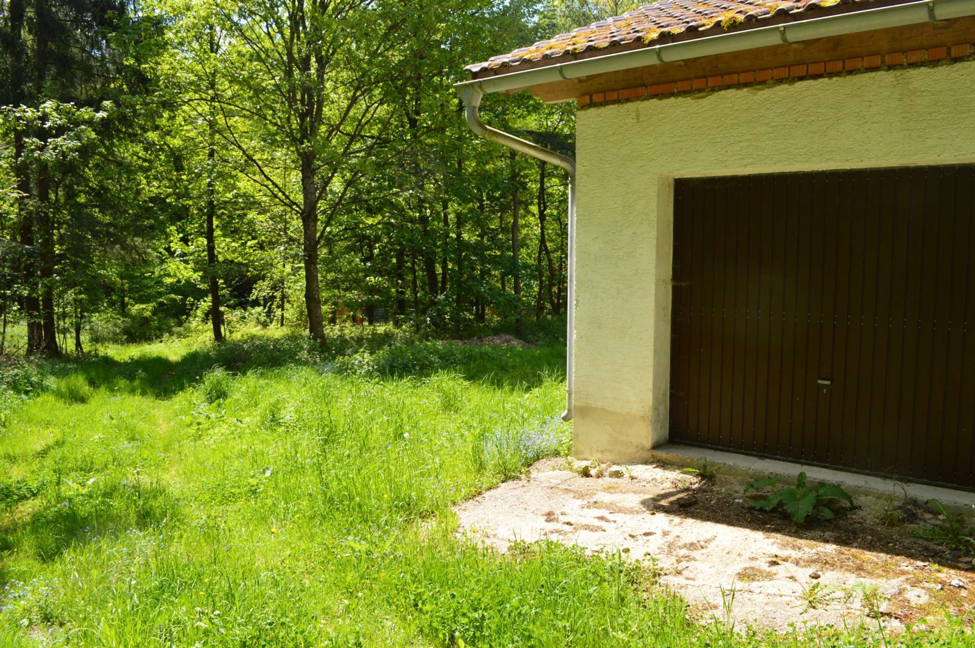 Bild 011