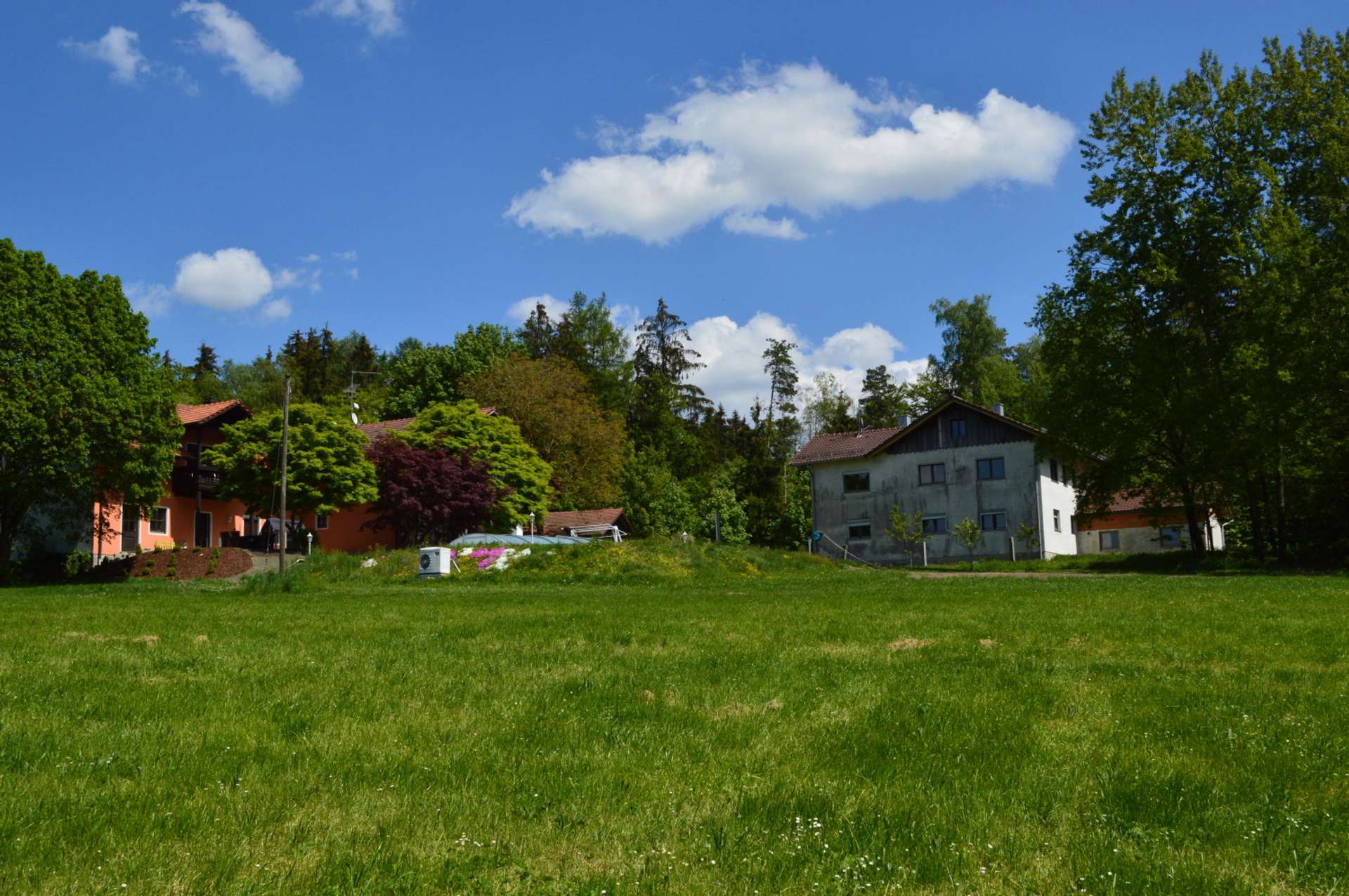 Bild 003