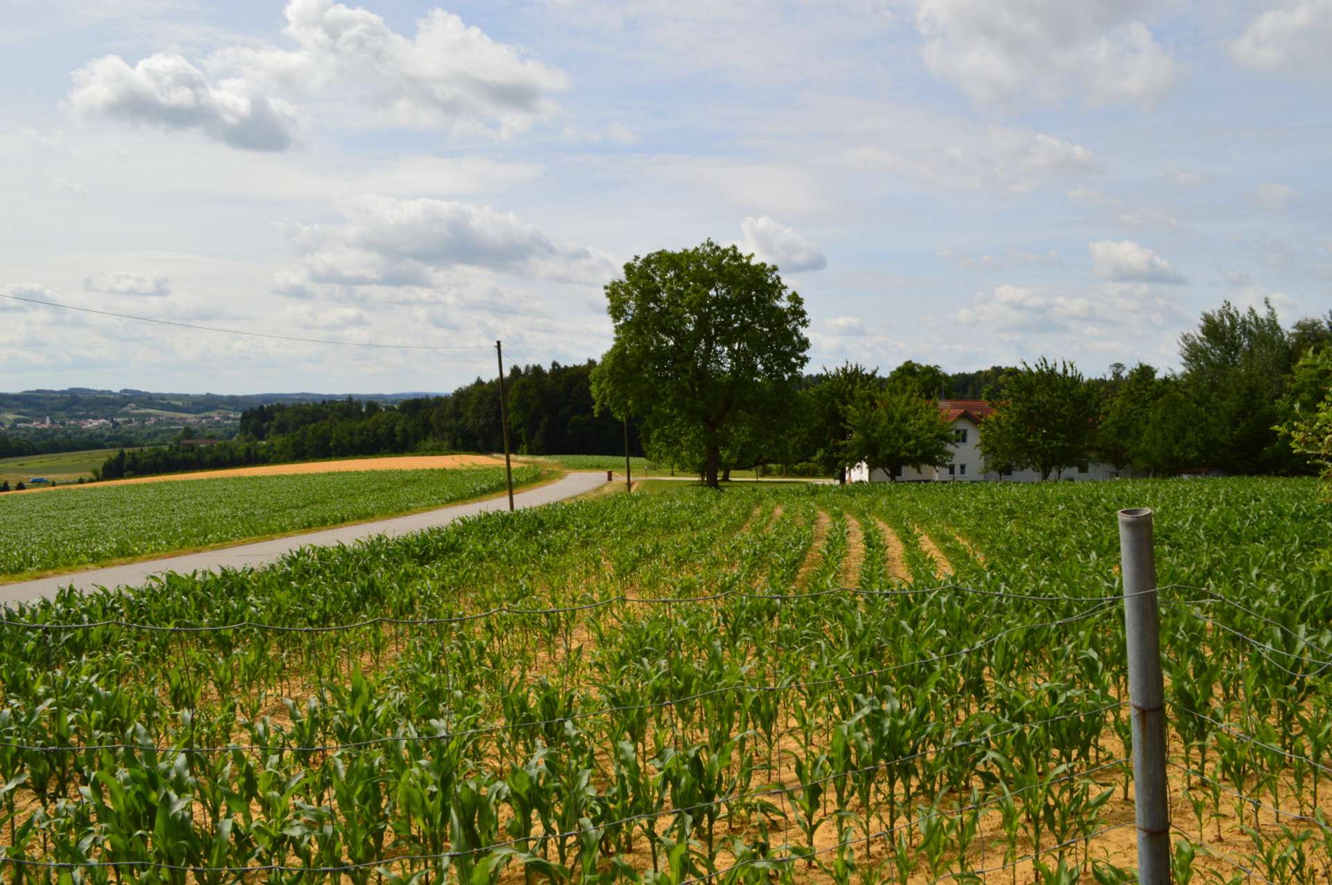 Ausblick