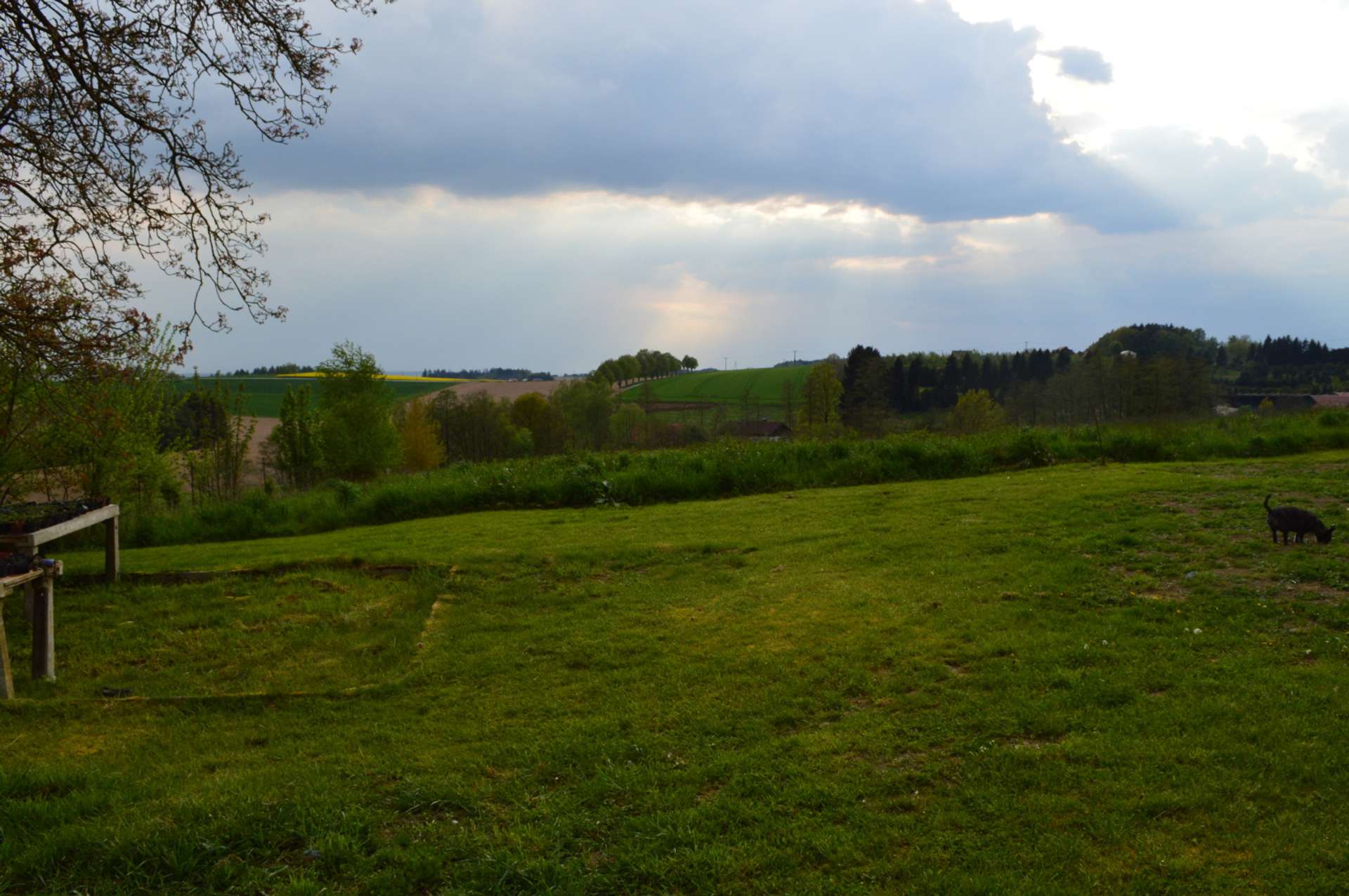 Ausblick