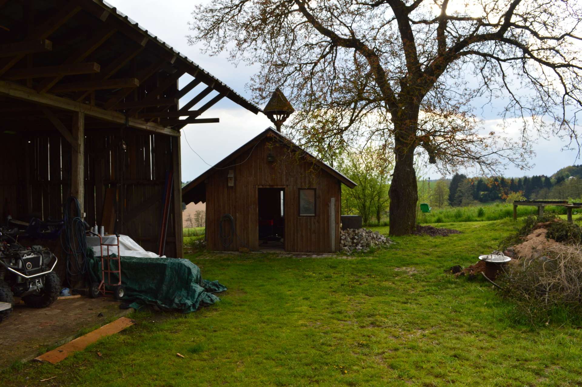 Bild 019