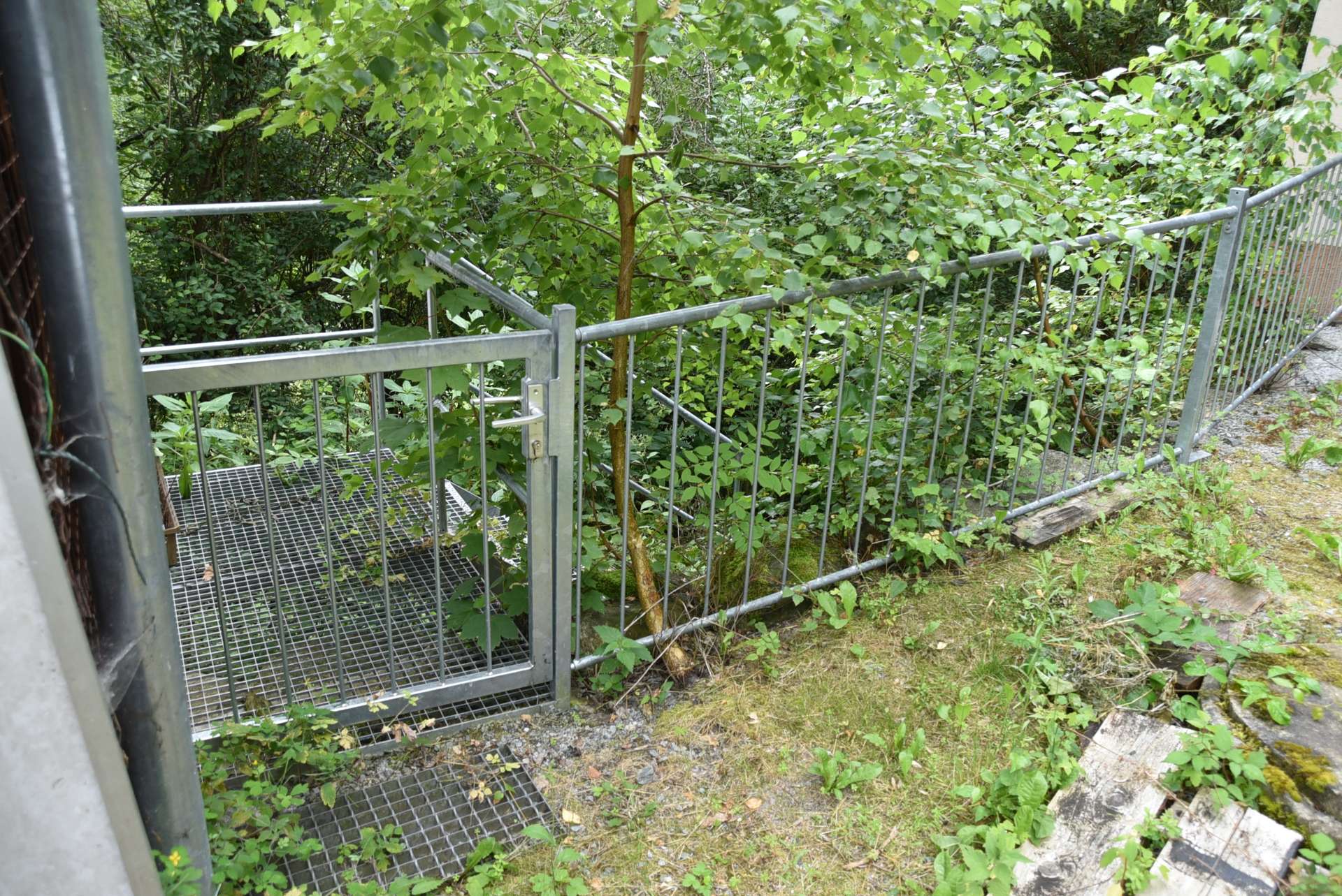 Treppe zum Teich