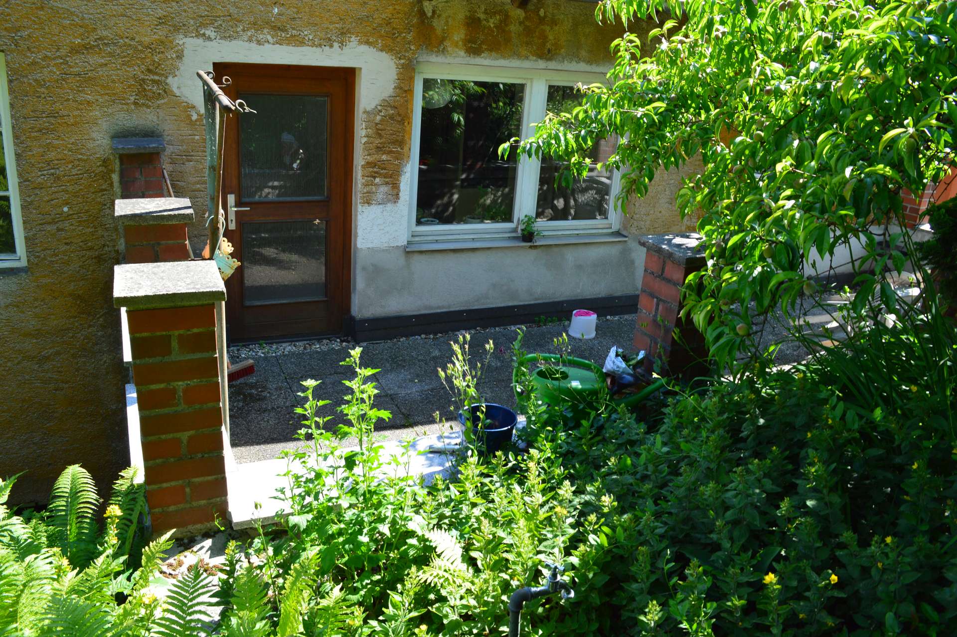 Rückansicht mit Garten