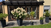 Außenansicht Wintergarten EG - Charmantes Zweifamilienhaus mit großzügigem Garten