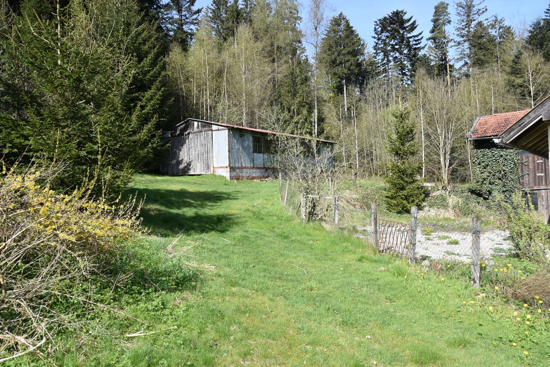 Grunstück