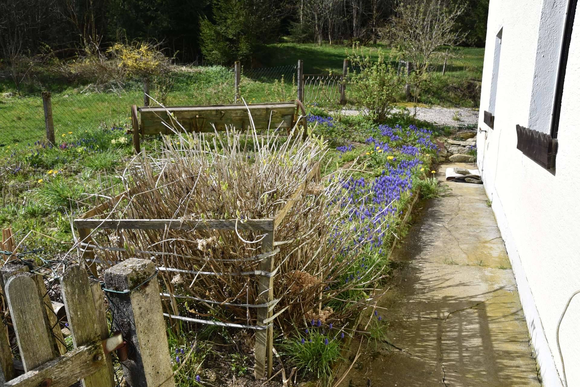 Garten