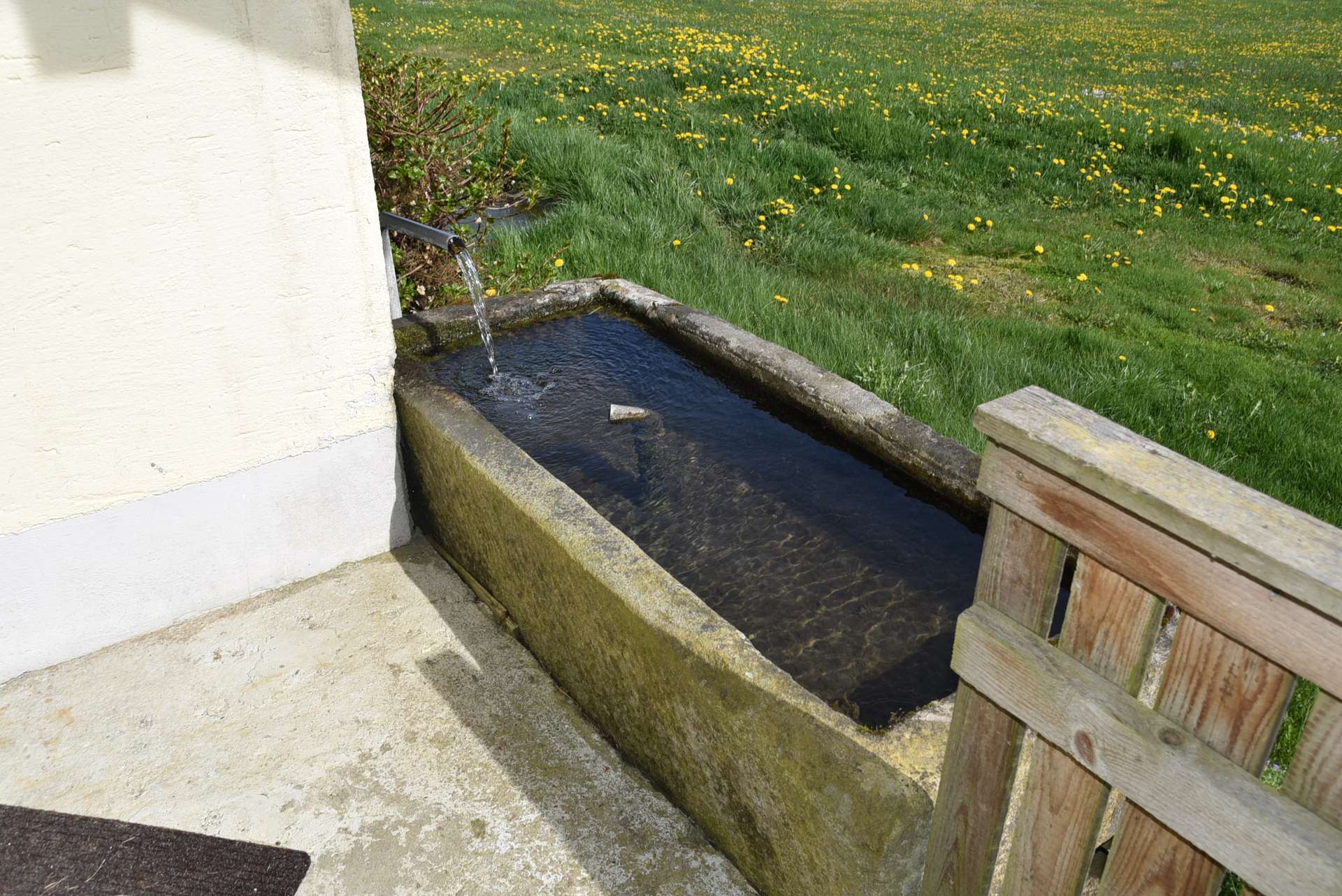 Garten