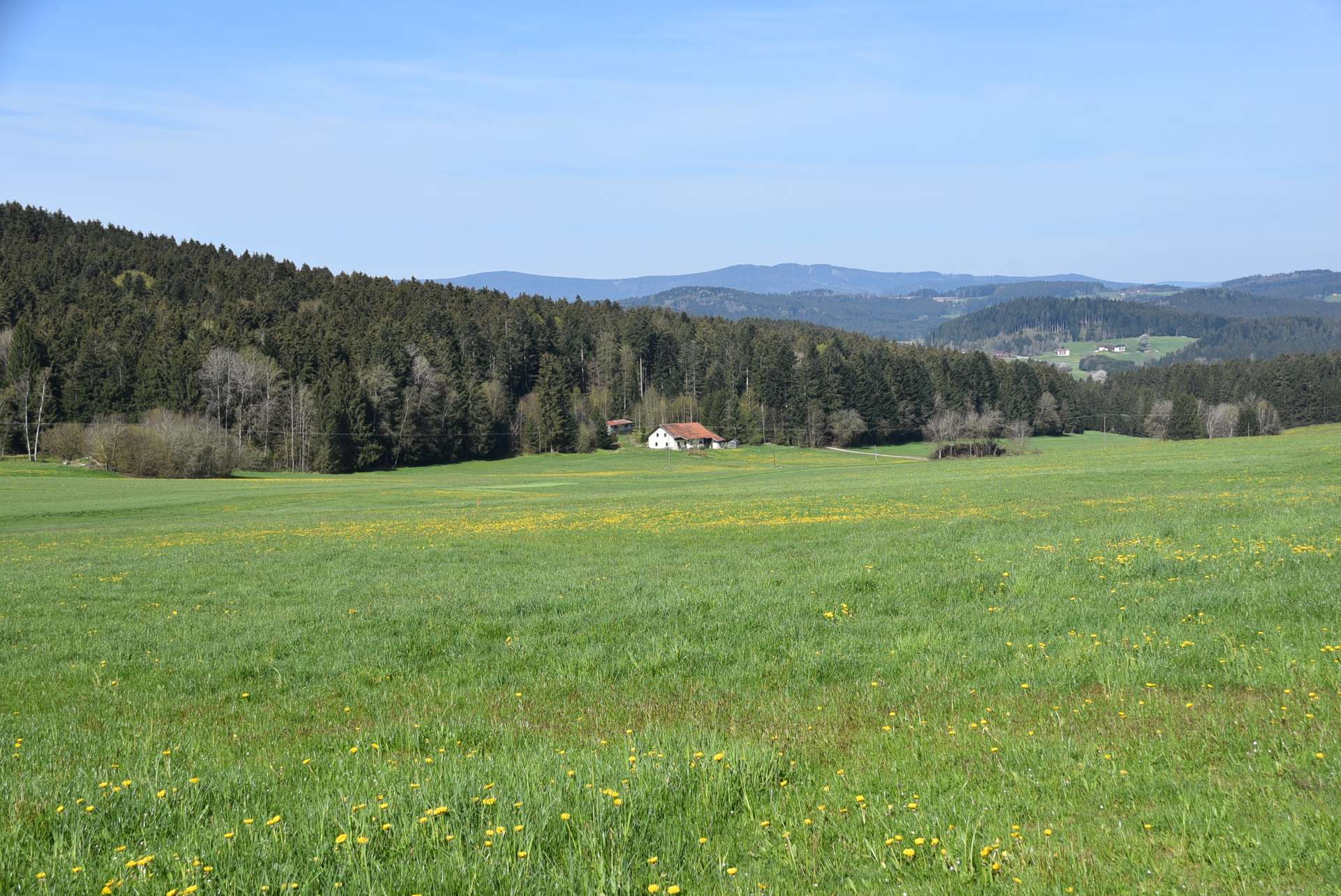 Ansicht