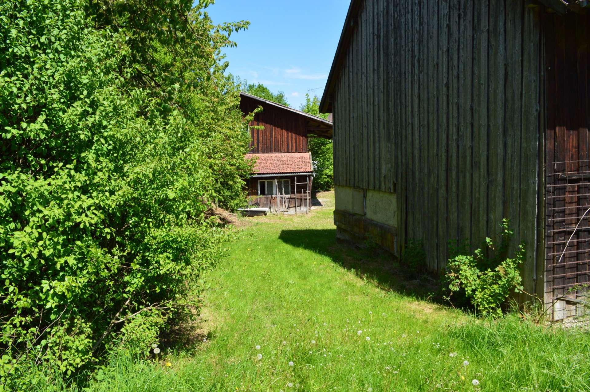 Bild 006