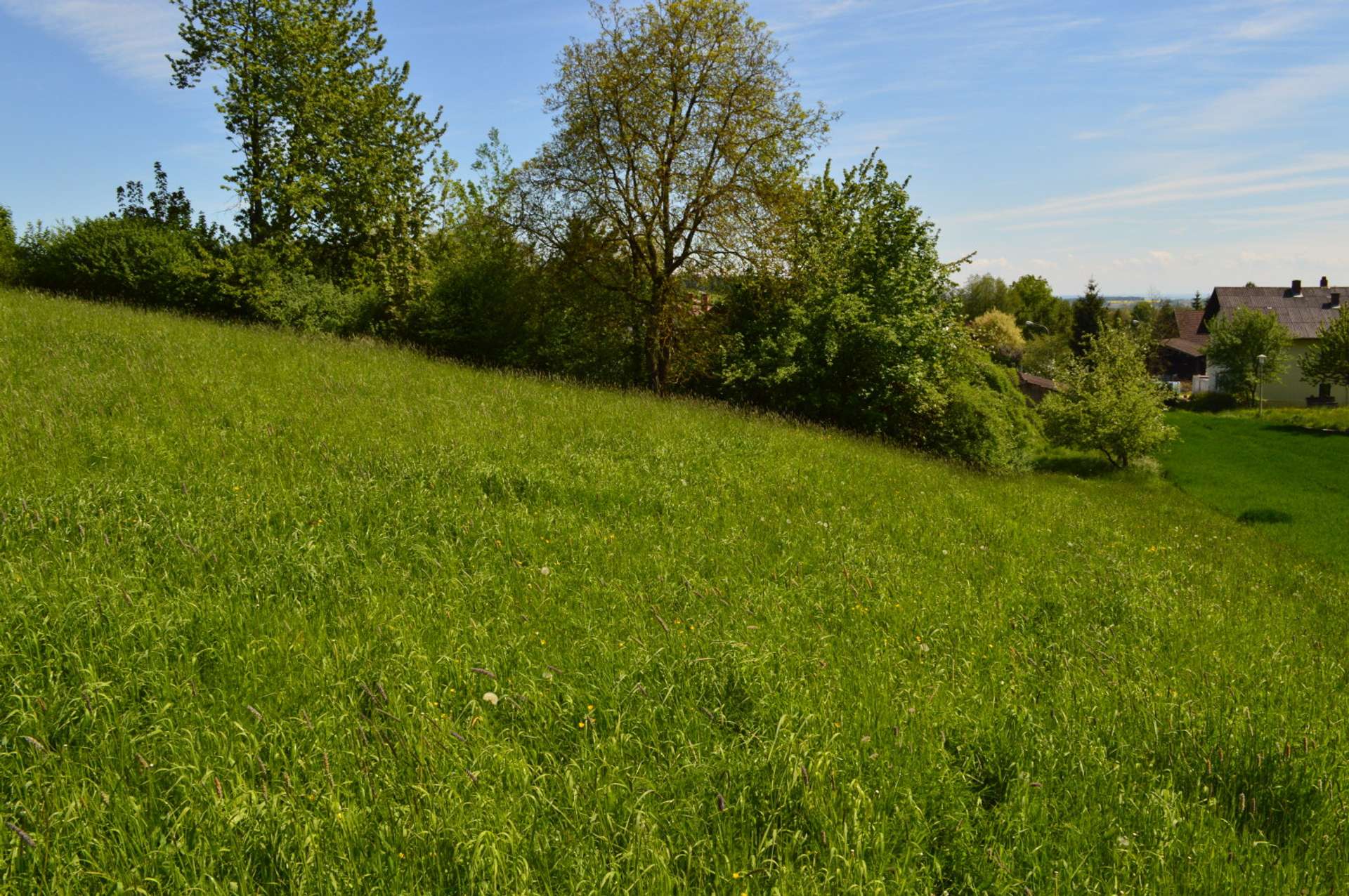 Bild 009