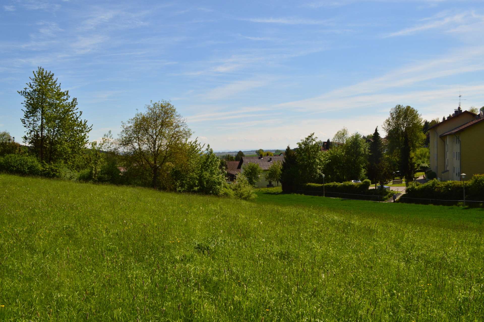 Bild 010