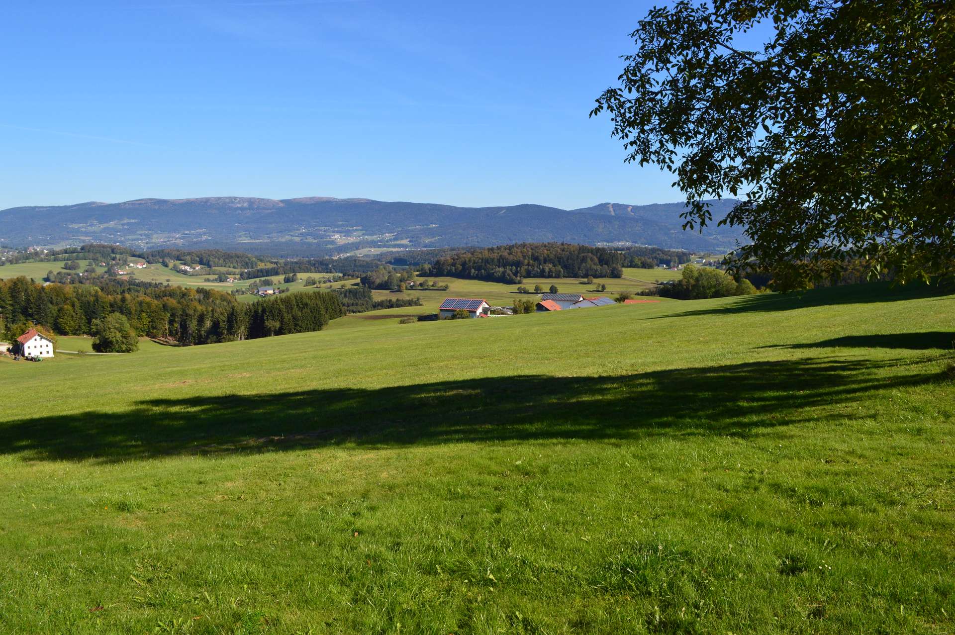 Ausblick