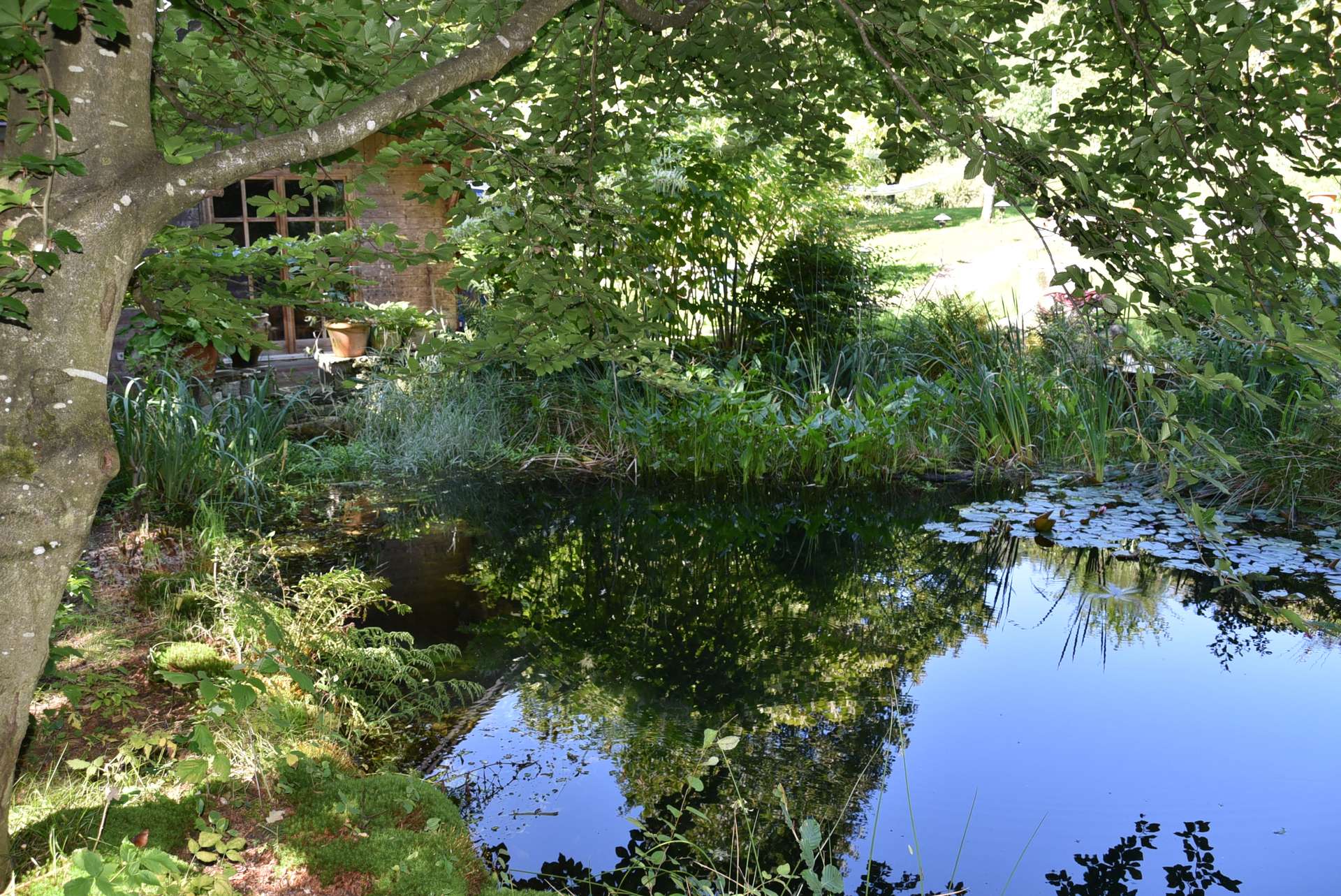 Teich