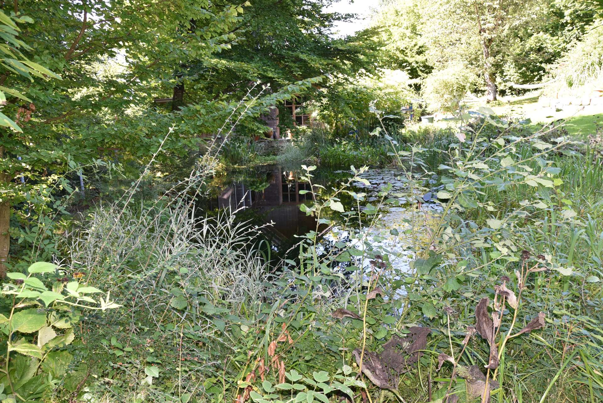 Teich