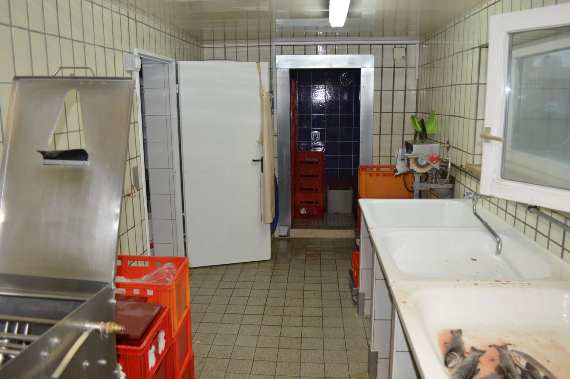 Bild 034