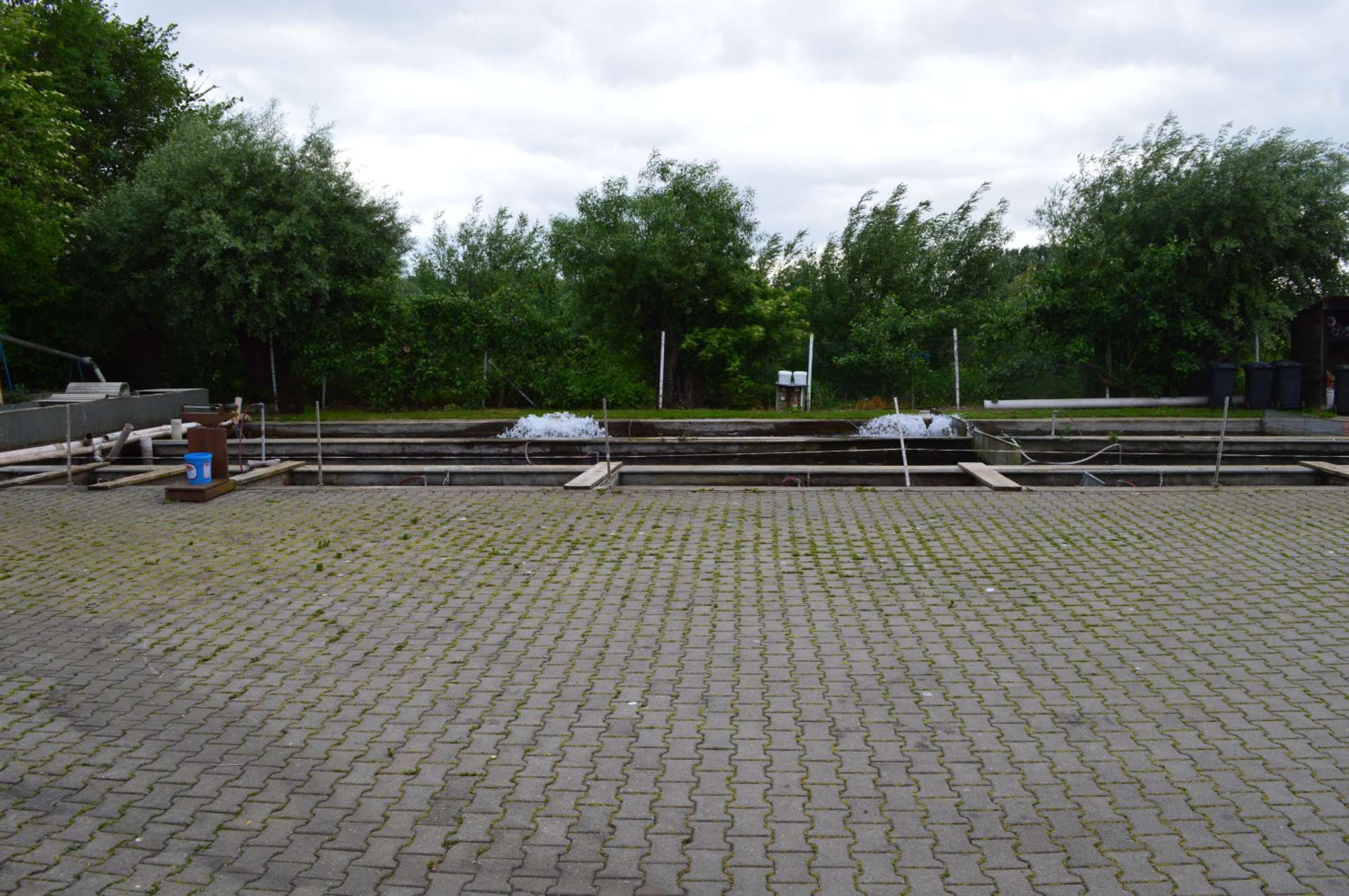 Bild 001