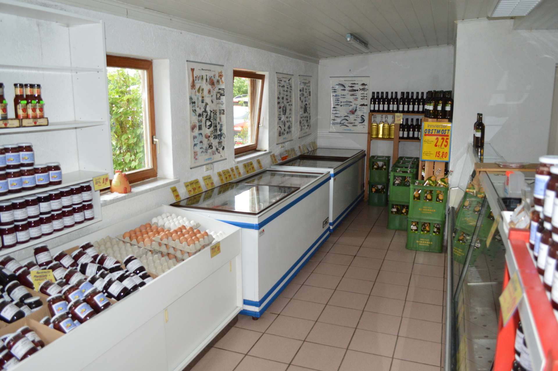 Bild 027