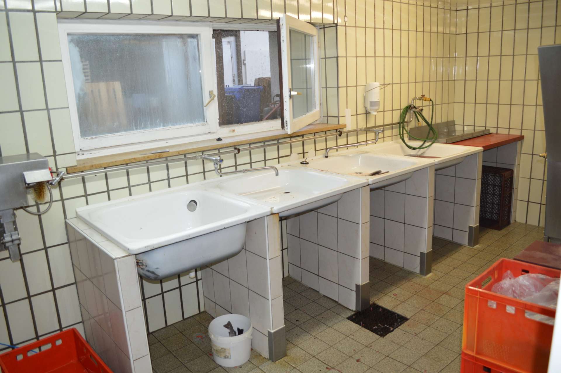 Bild 033