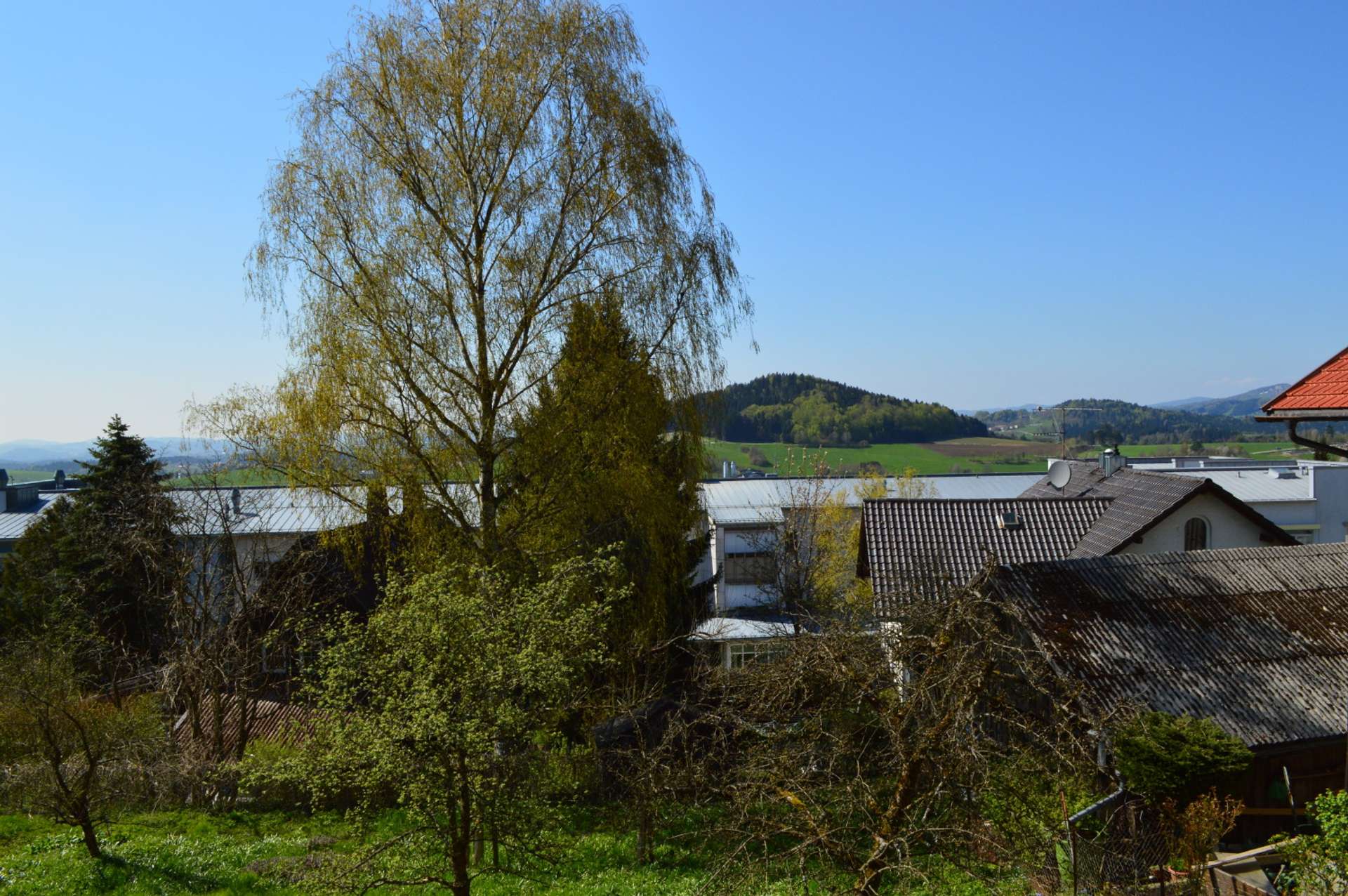 Ausblick