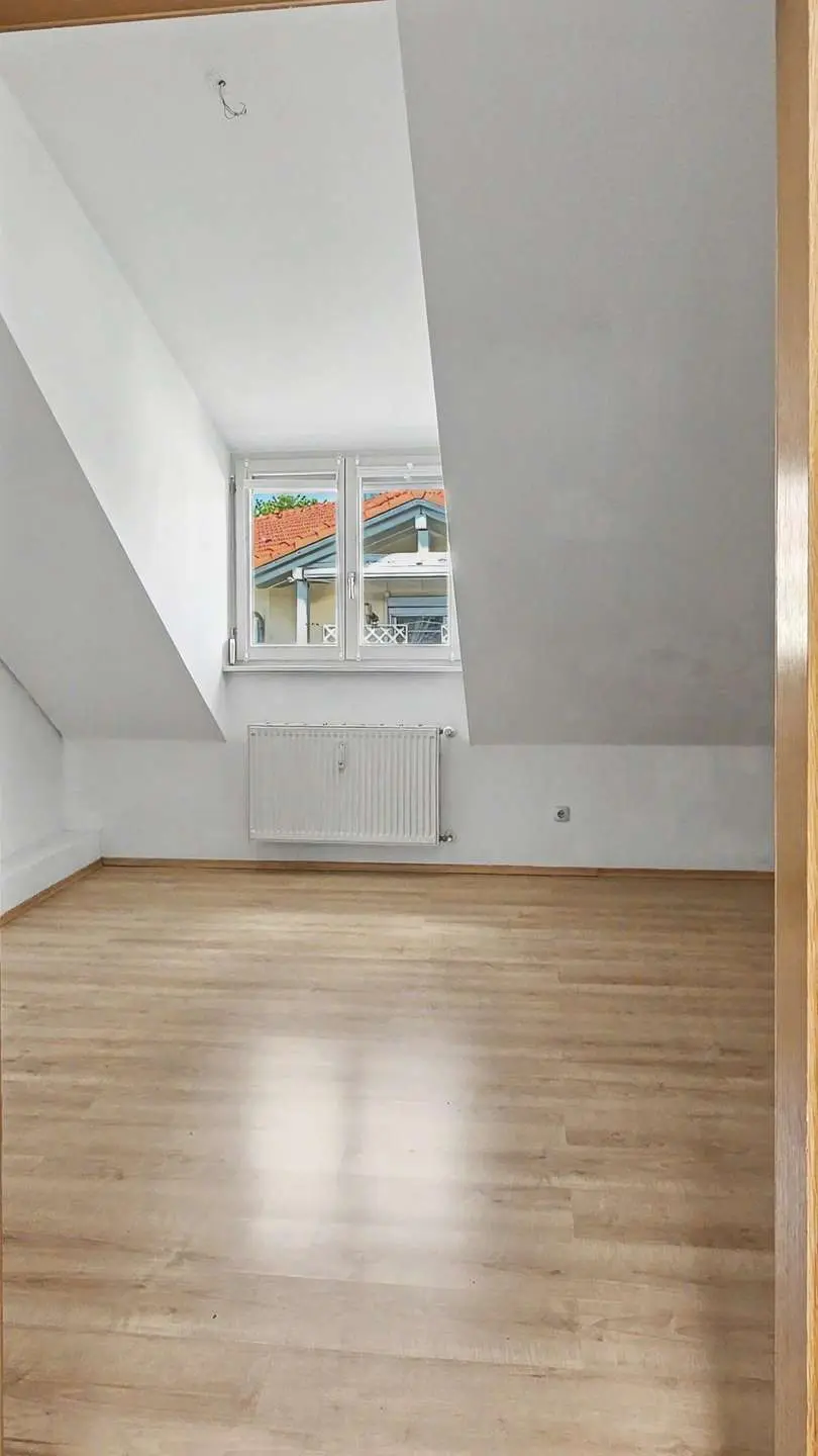 1. Zimmer DG