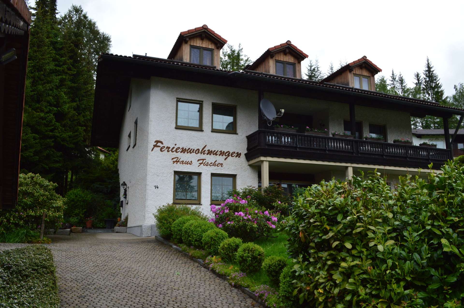 Bild 005