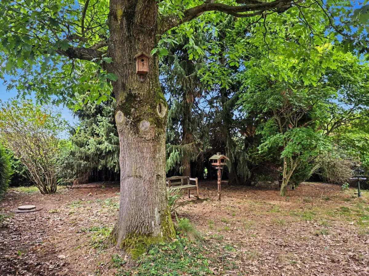 Garten mit altem Baumbestand