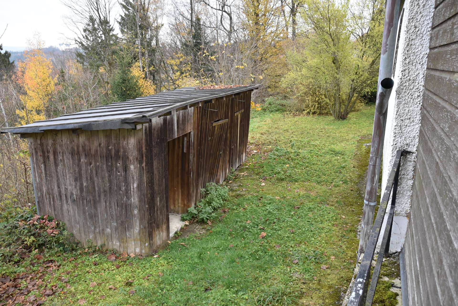 DSC_1880