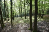 VERKAUFT !!! Seltenheit, absolute Alleinlage inmitten von Natur und Wald - eigener Laubwald