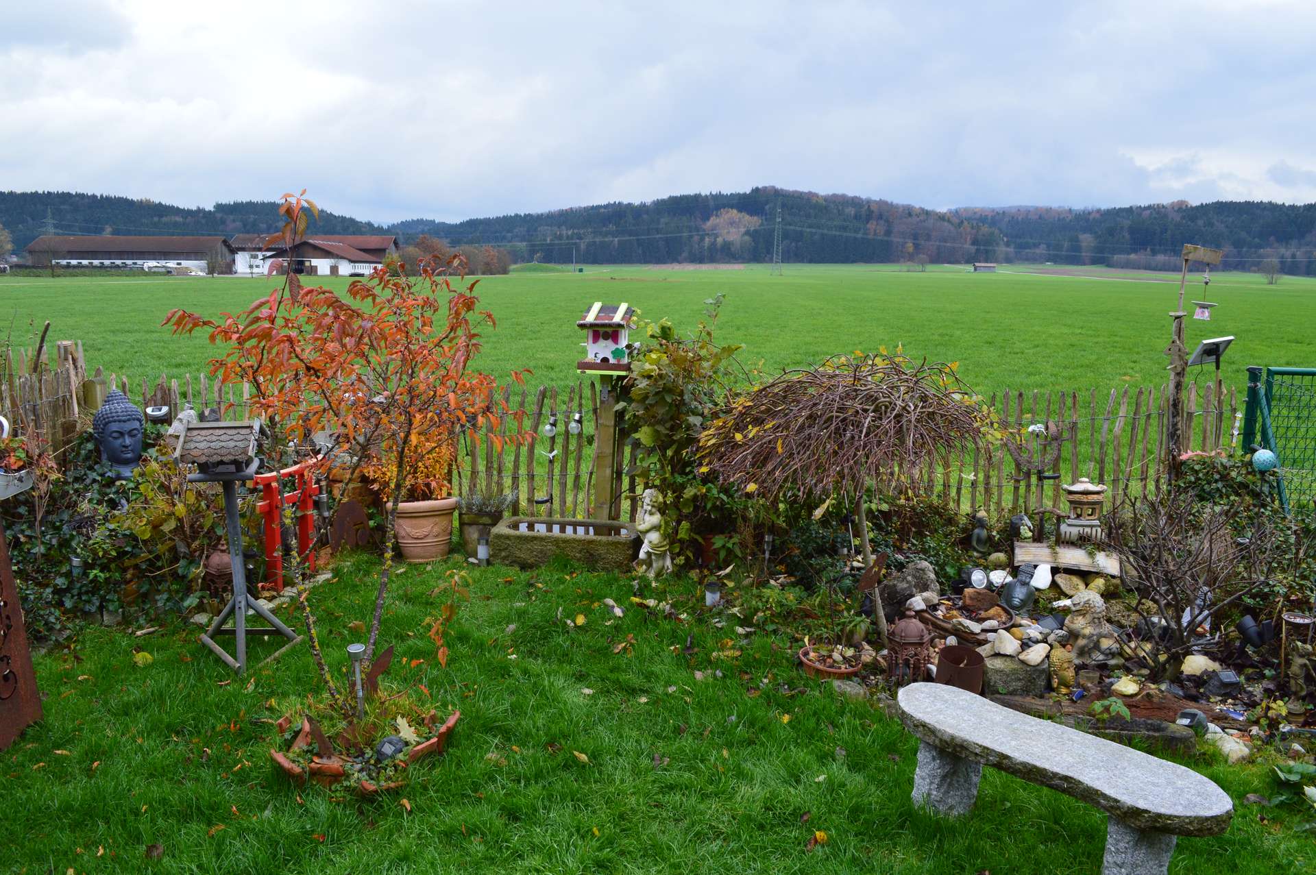 Ausblick