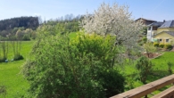 Blick vom Balkon - Idyllisches Landhaus mit unverbaubarer Aussicht im Bayerischen Wald