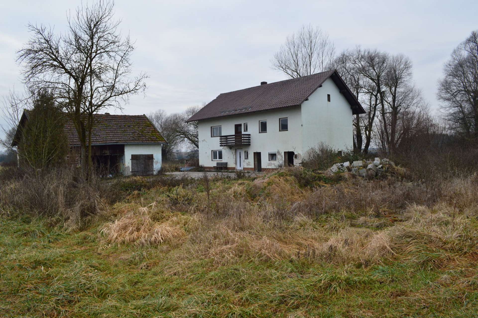 DSC_0591 - Kopie