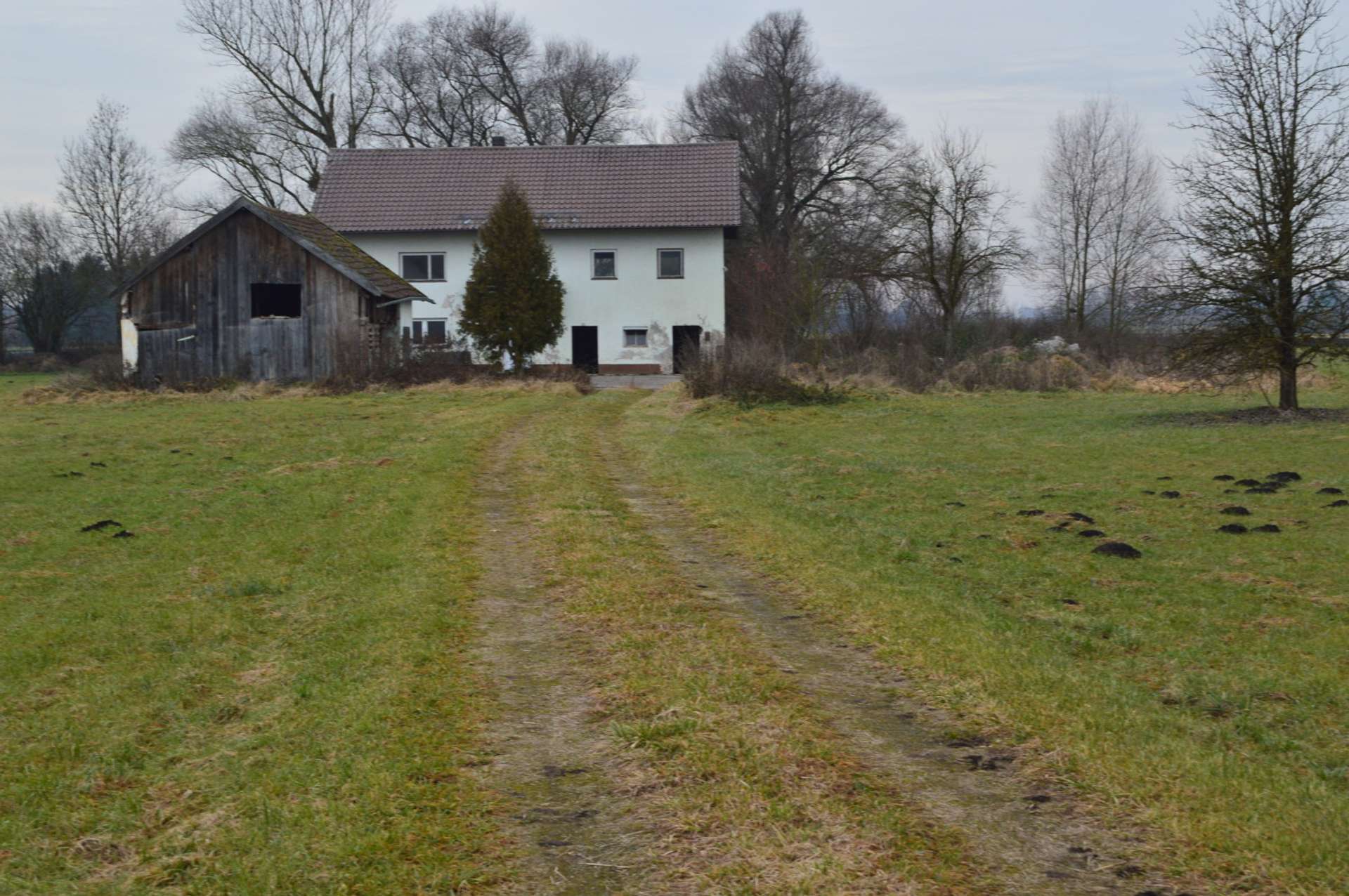 DSC 0563 - Kopie