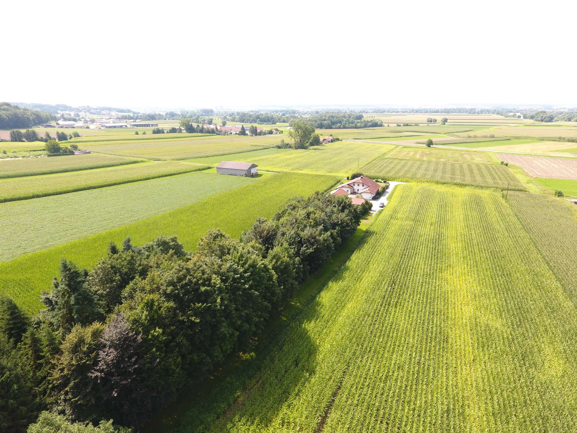 DJI_0061