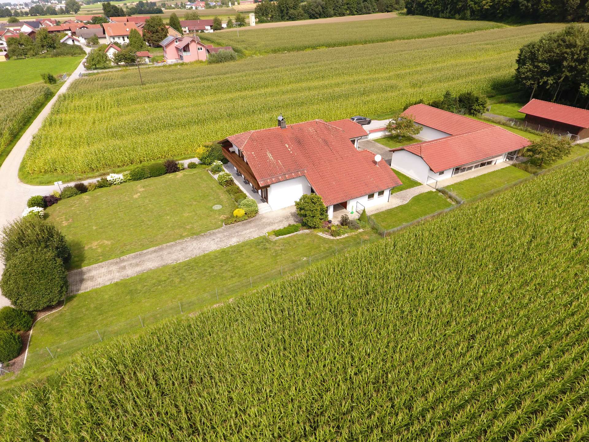 DJI_0077