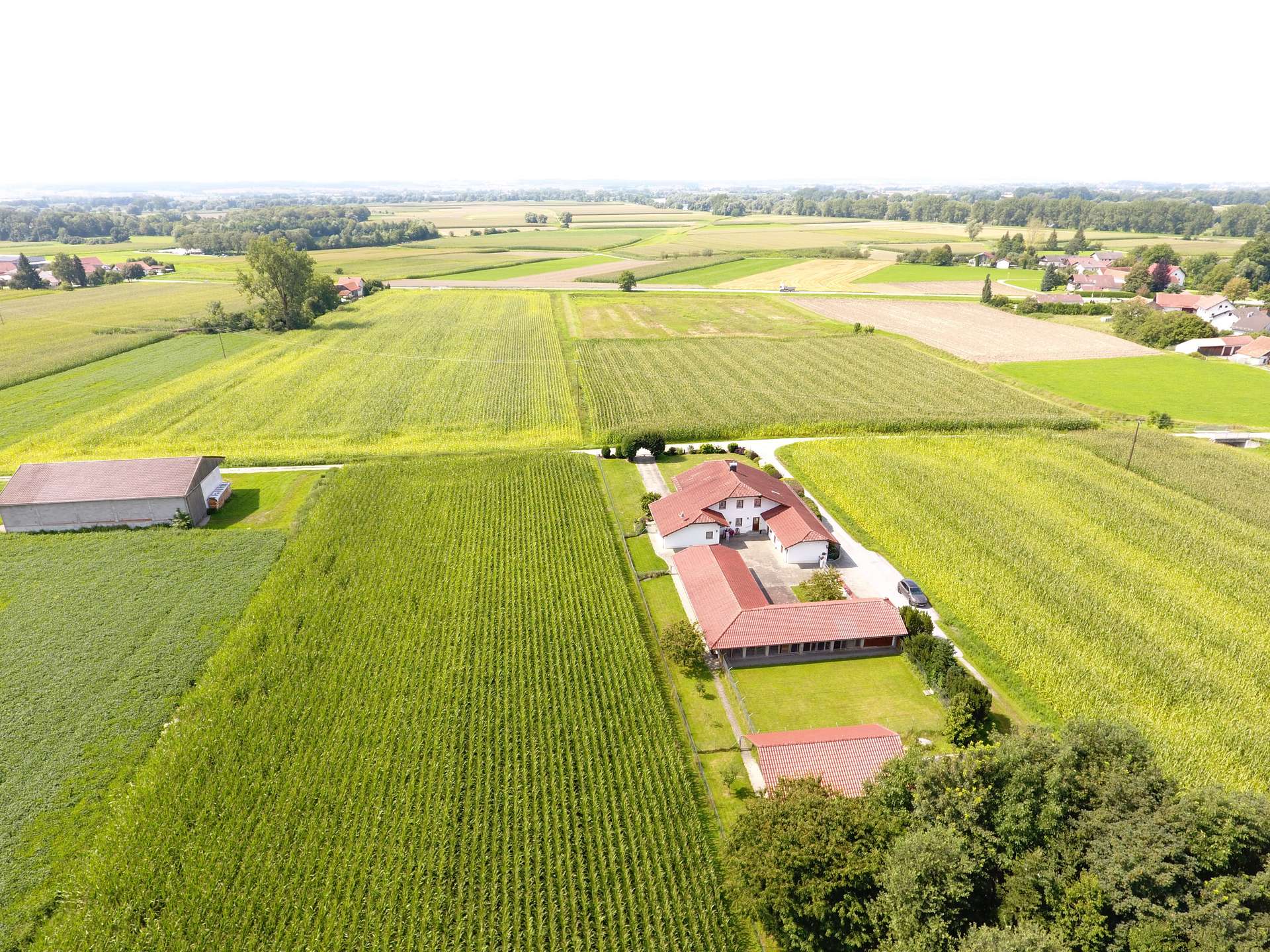 DJI_0056