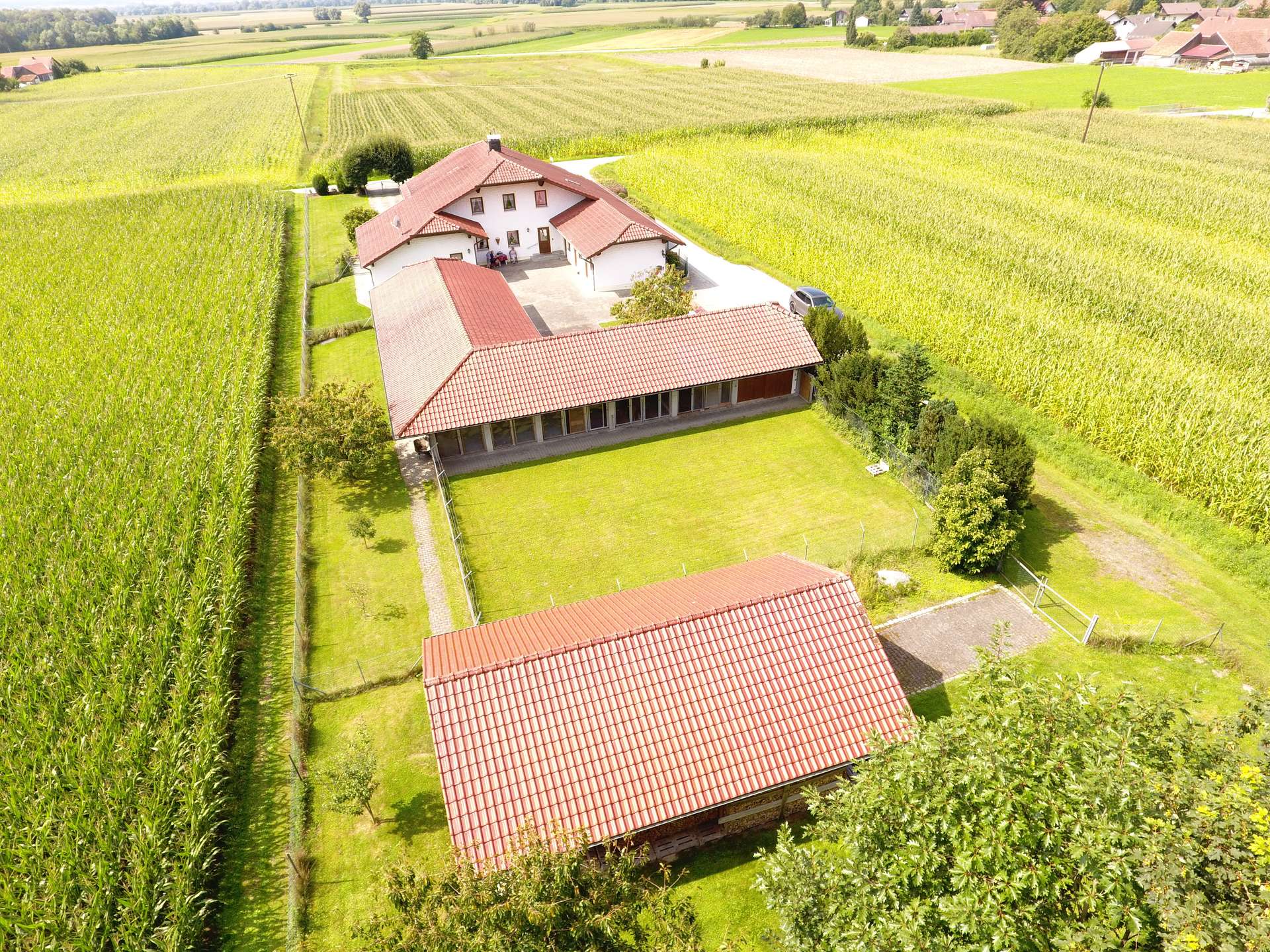 DJI_0068