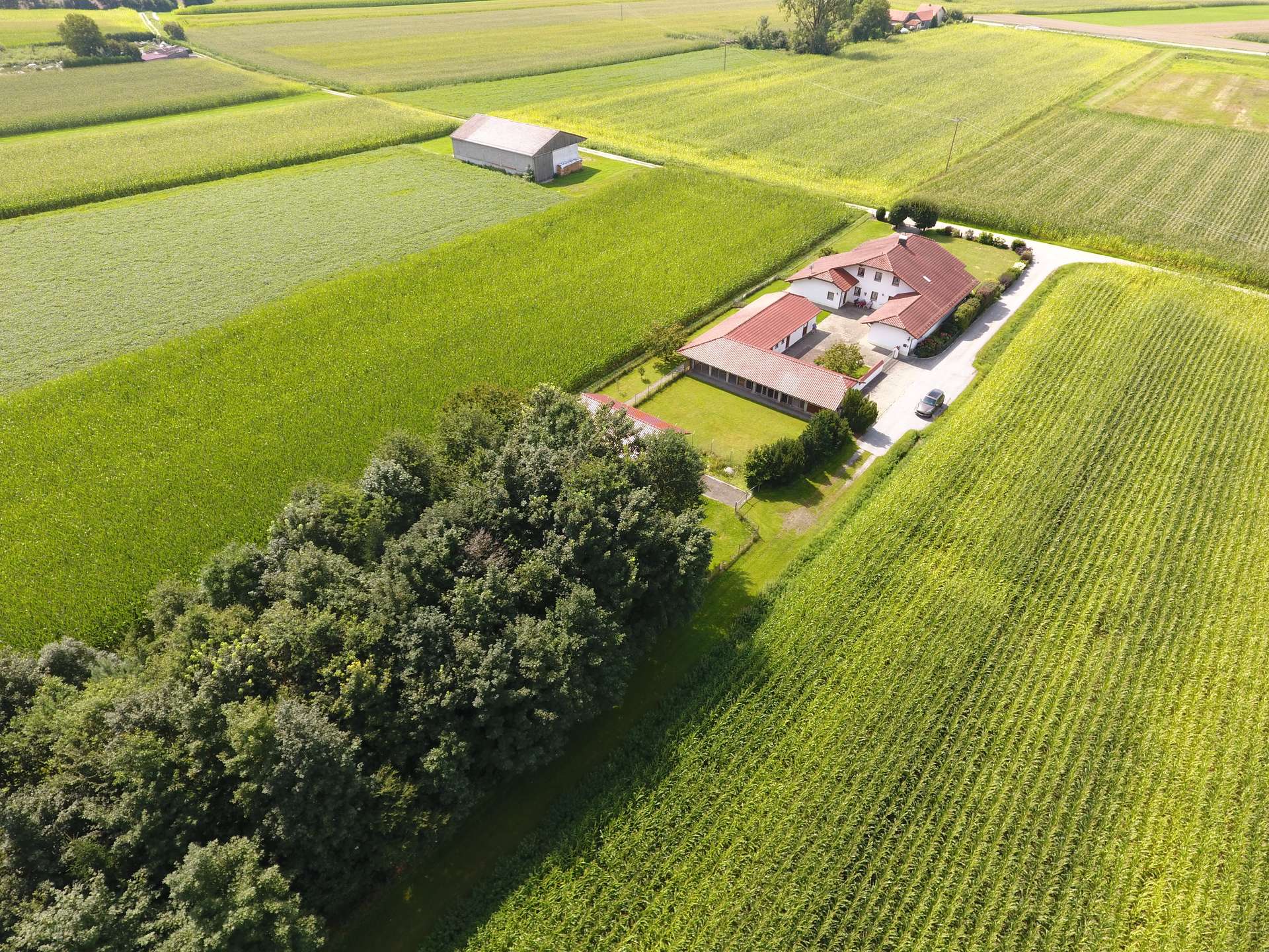 DJI_0058