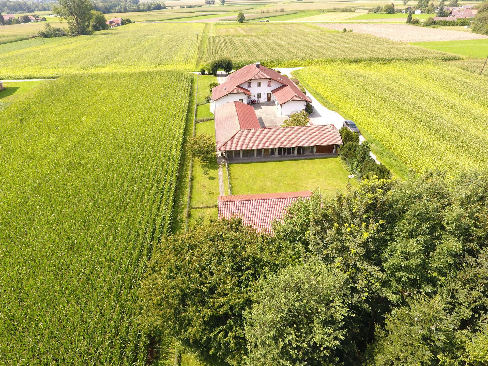 DJI_0063