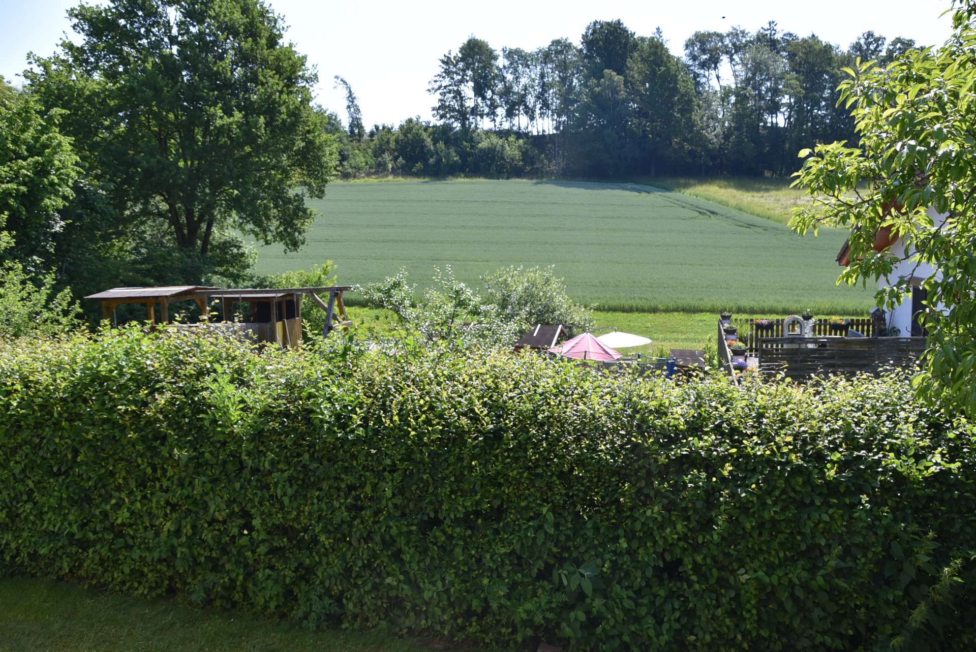 Ausblick