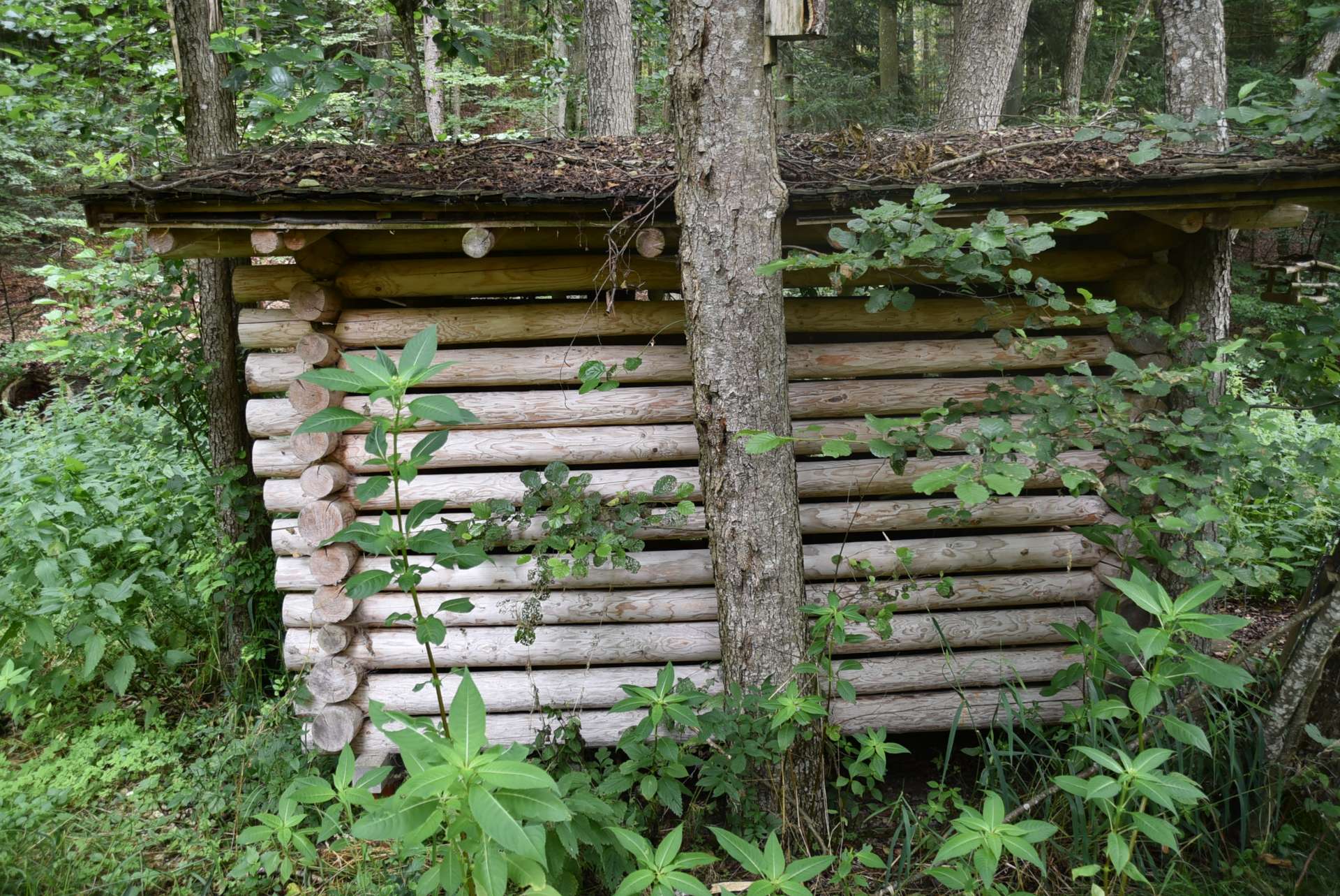 Hütte
