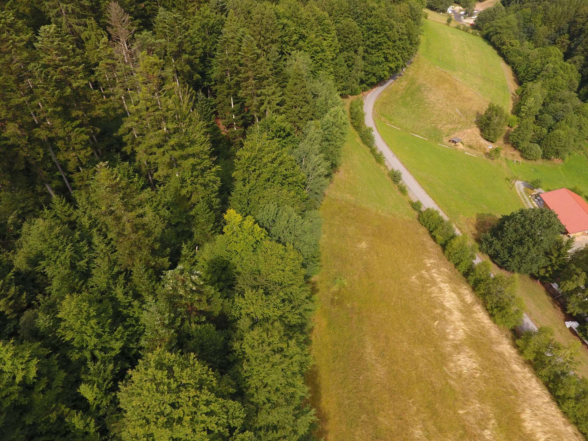 Wiesen