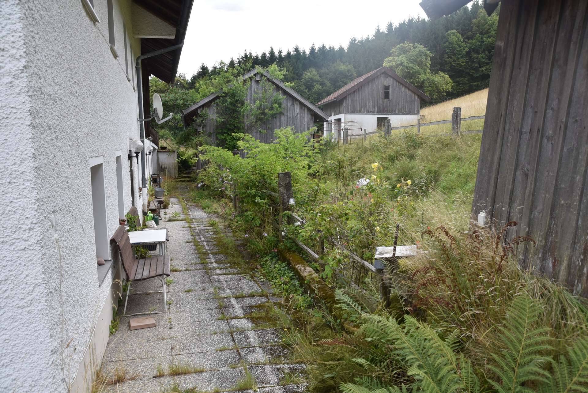 Garten