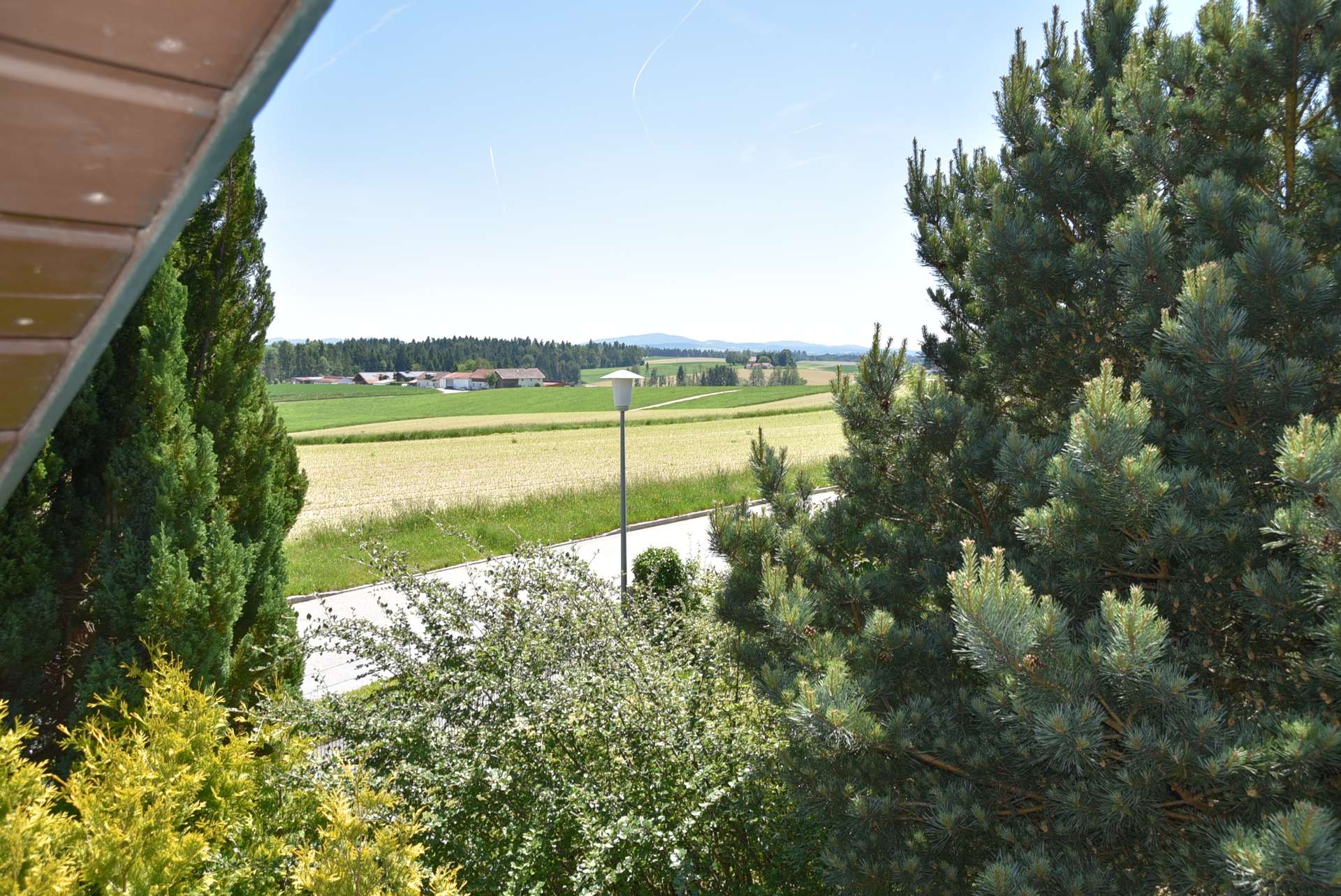 Ausblick