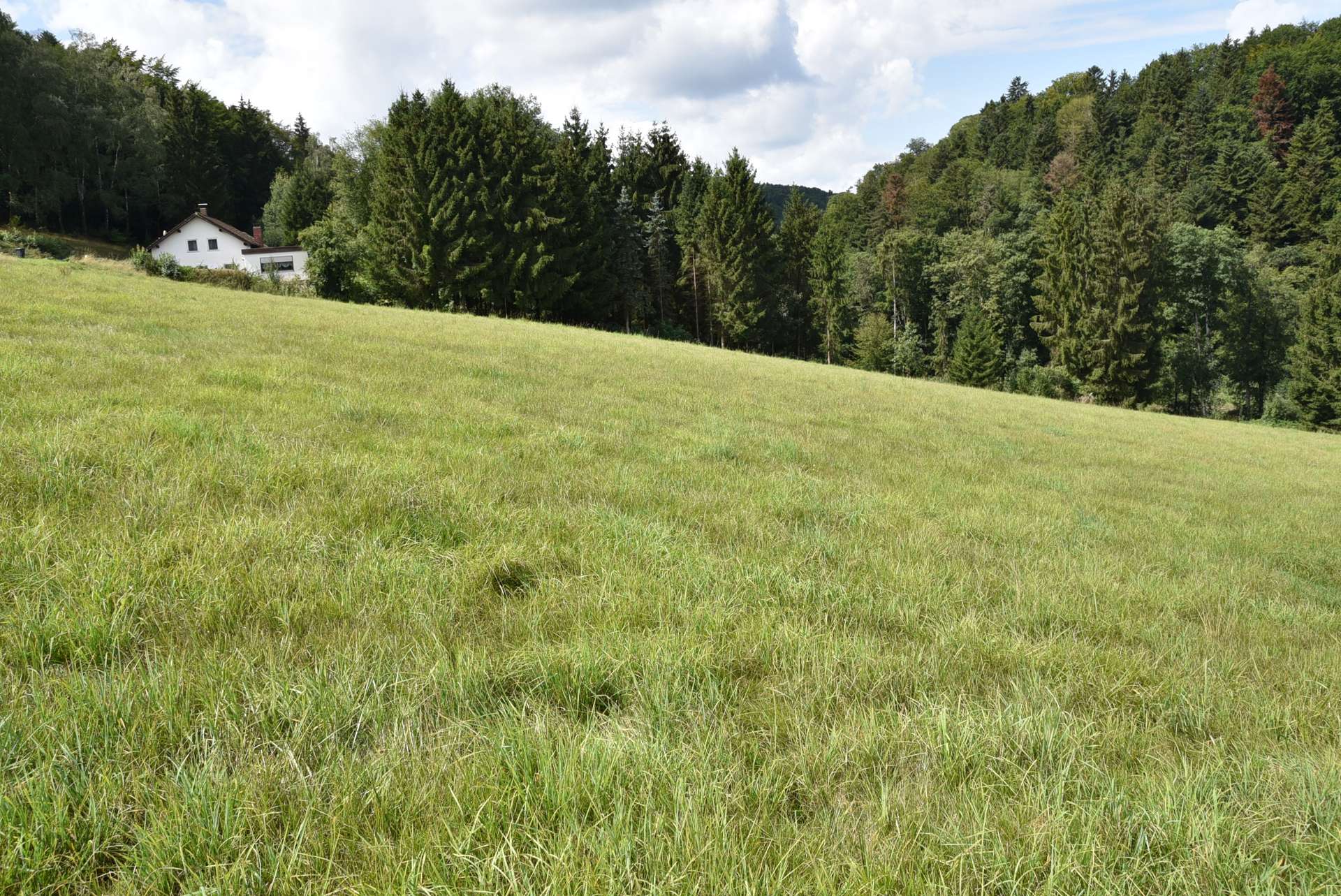 Grundstück