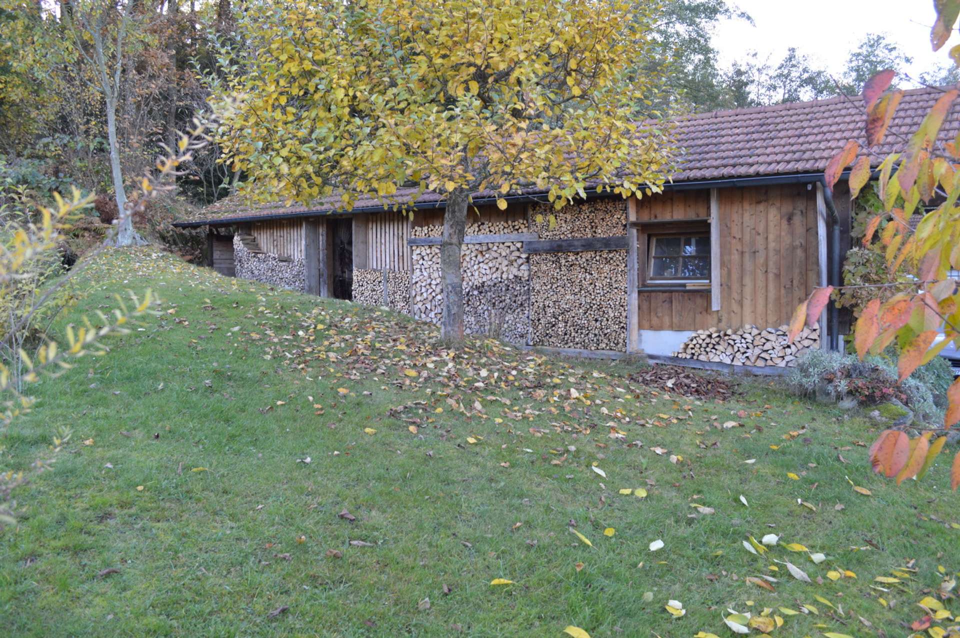 Holzschuppen