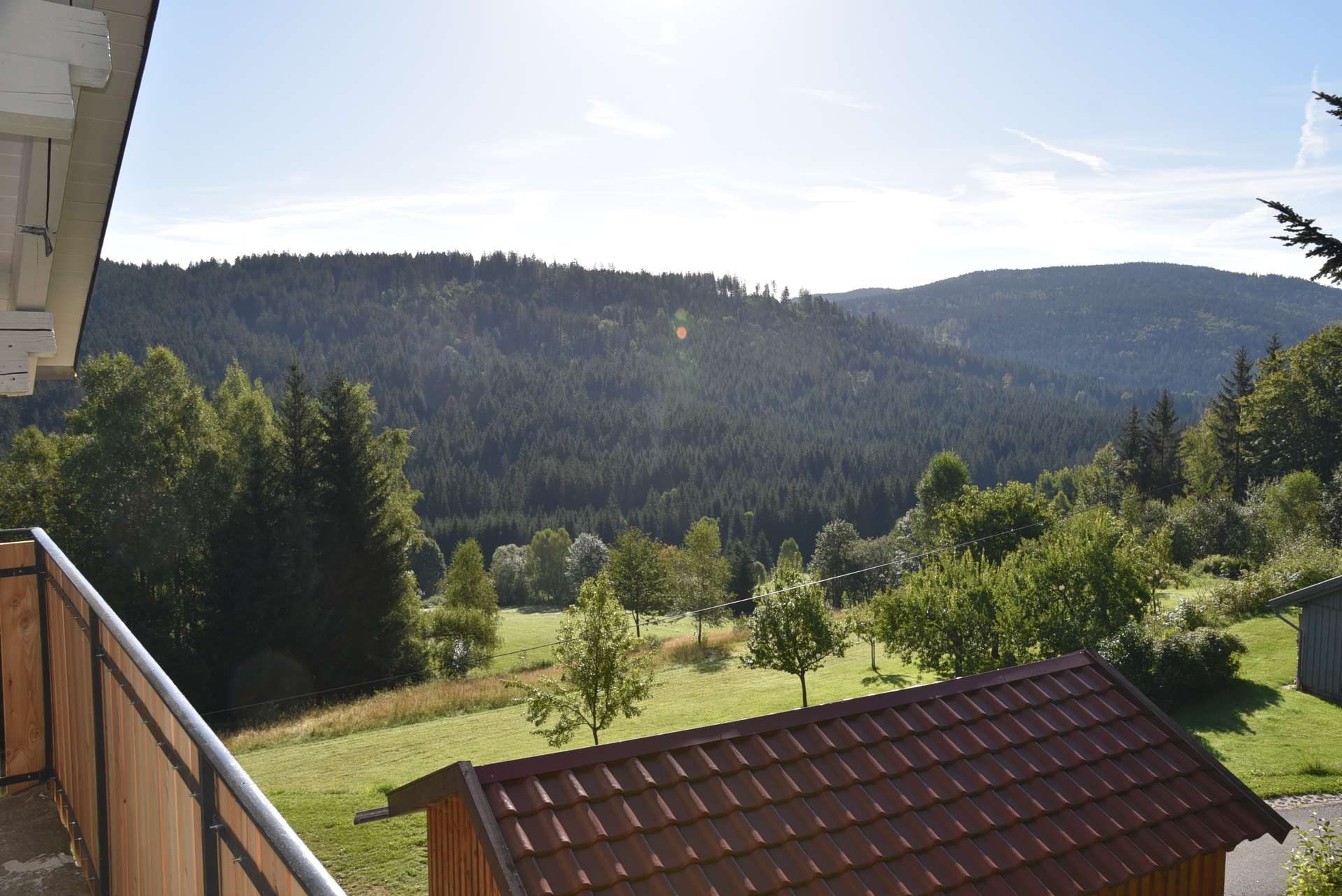 Ausblick
