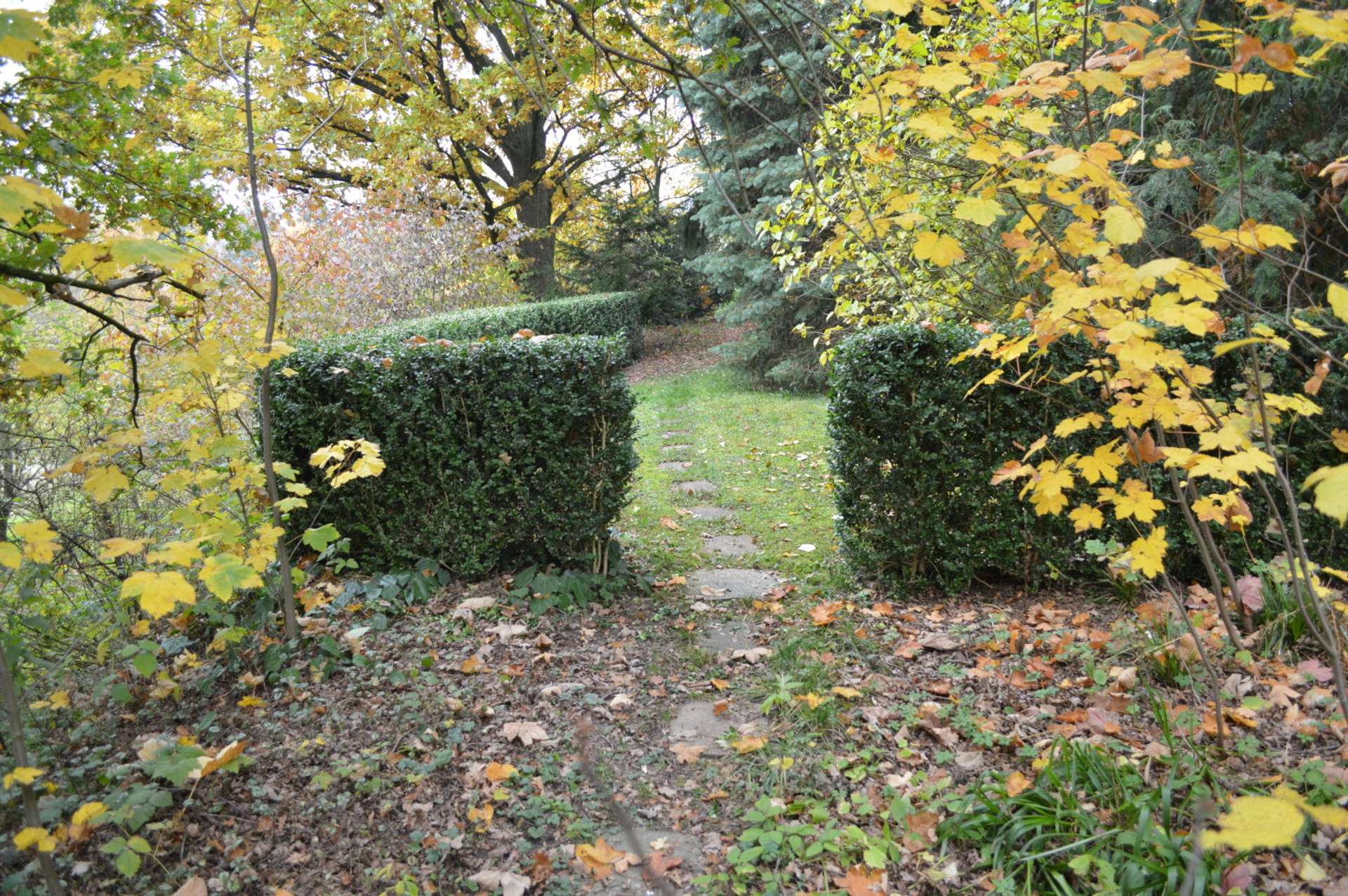 Garten