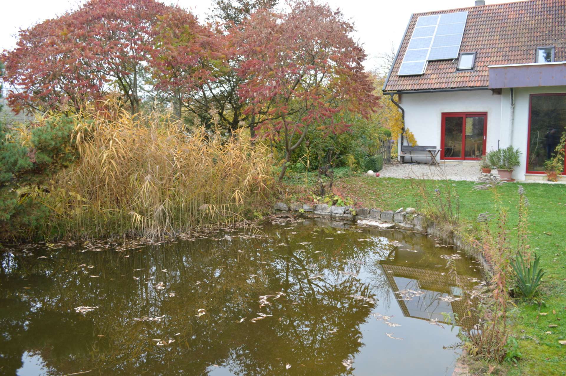 Hausansicht mit Schwimmteich