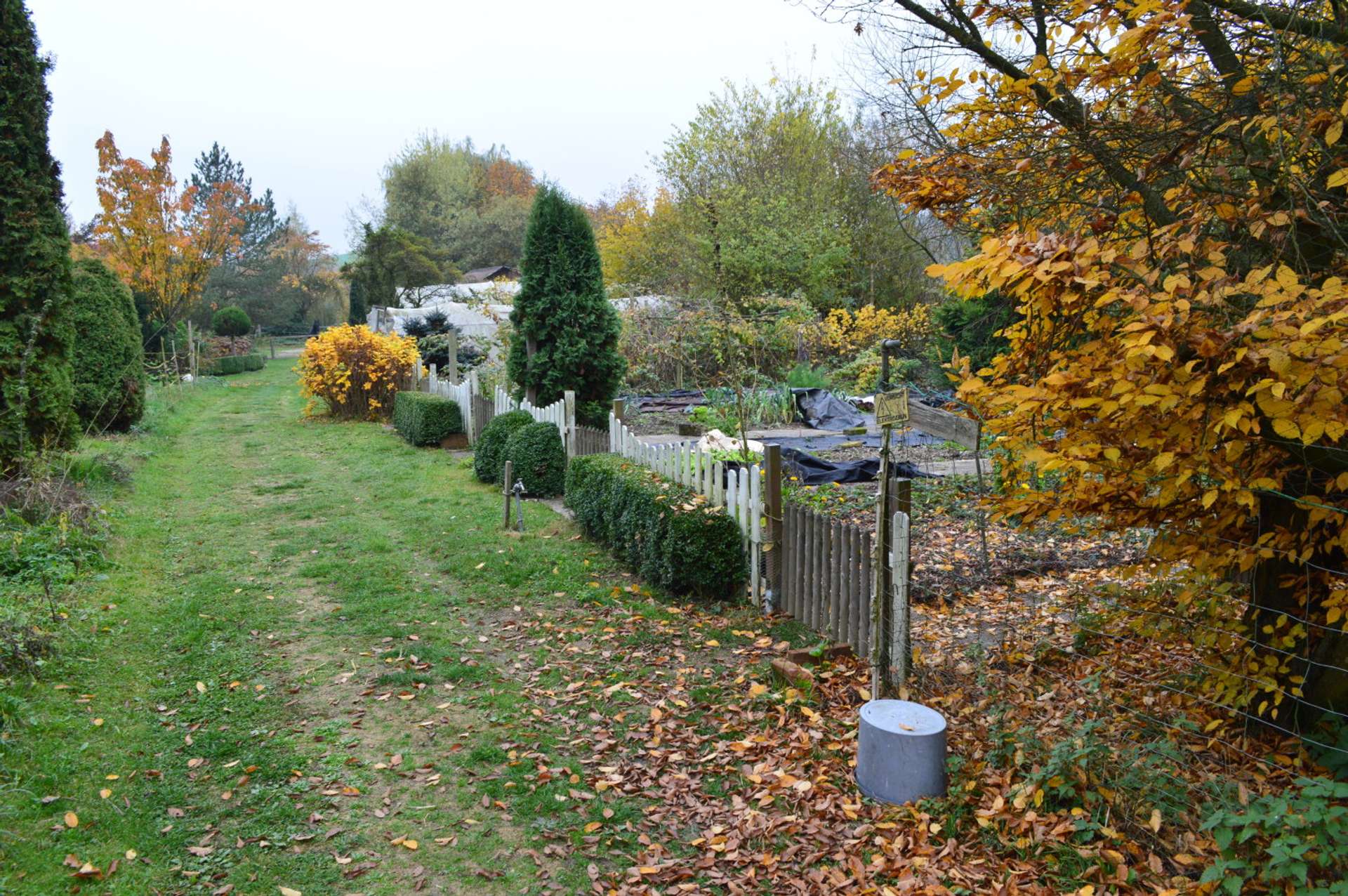 Garten
