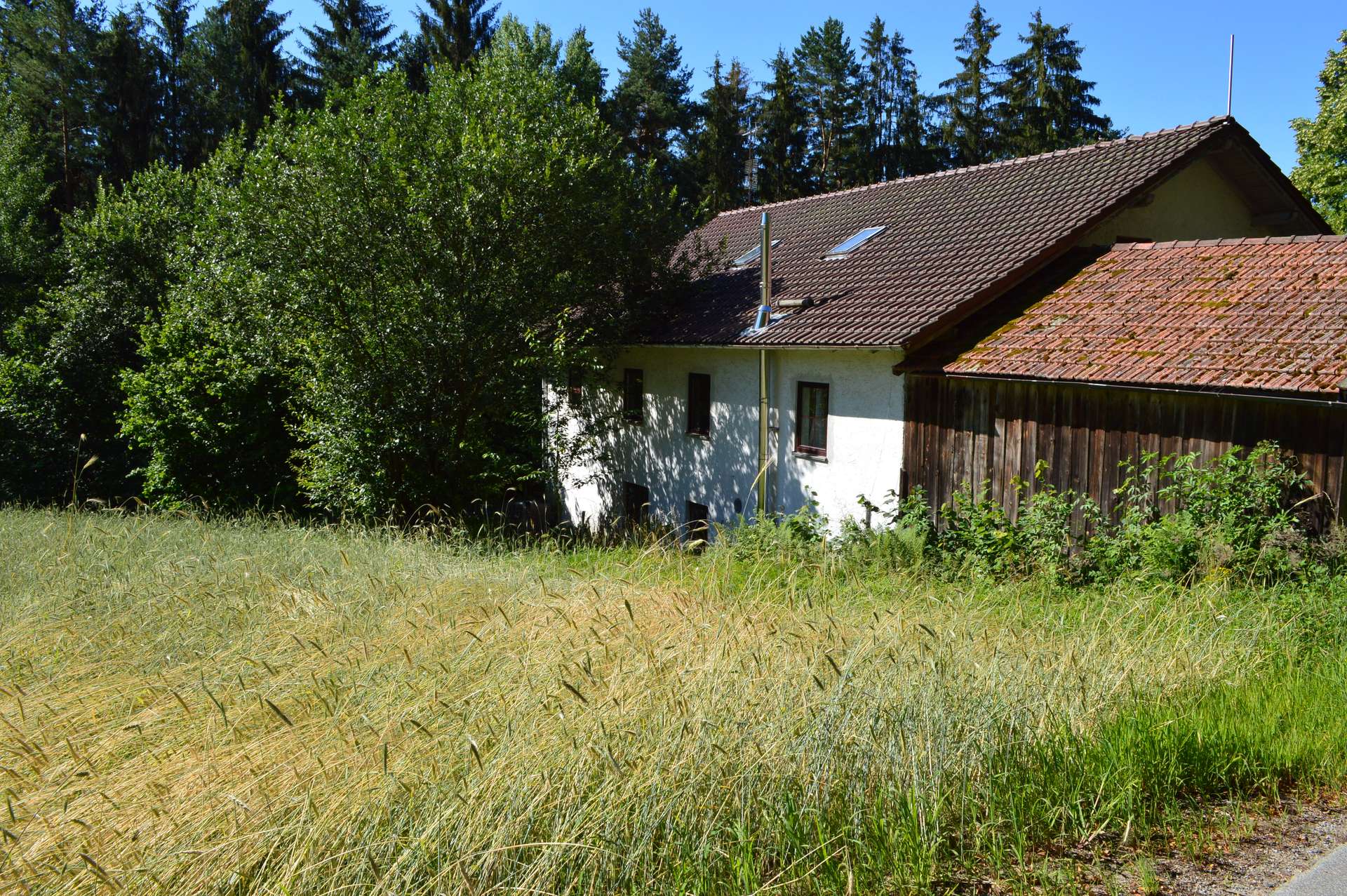 Hausansicht